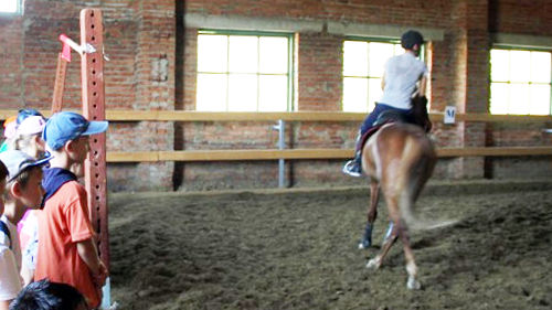 Экскурсия в конно-спортивную школу