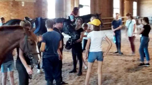 Посещение конно-спортивной школы