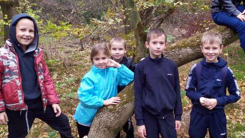 Поход в лес для ребят начальной школы